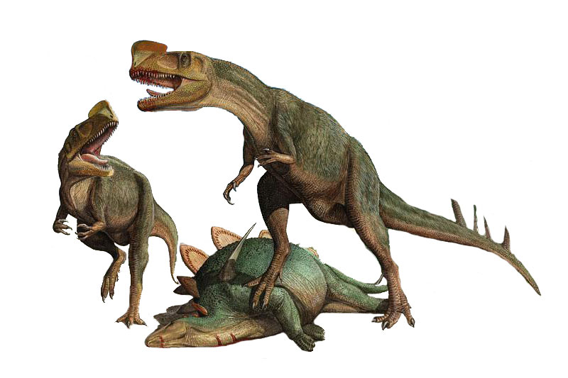 恐龍樂園設(shè)計(jì)效果圖