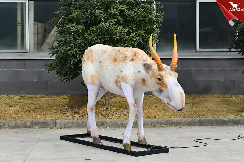 仿真動物模型 高鼻羚羊模型