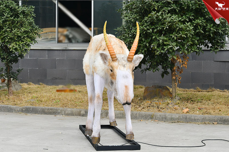 仿真動物模型 高鼻羚羊模型