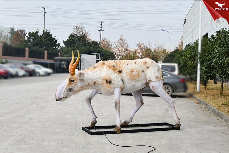 仿真動物模型 高鼻羚羊模型