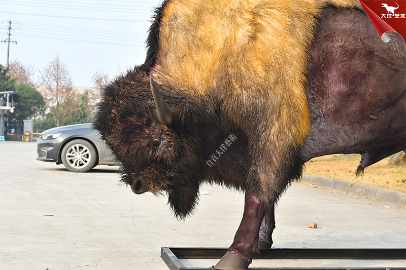 仿真野牛 動(dòng)物仿真模型